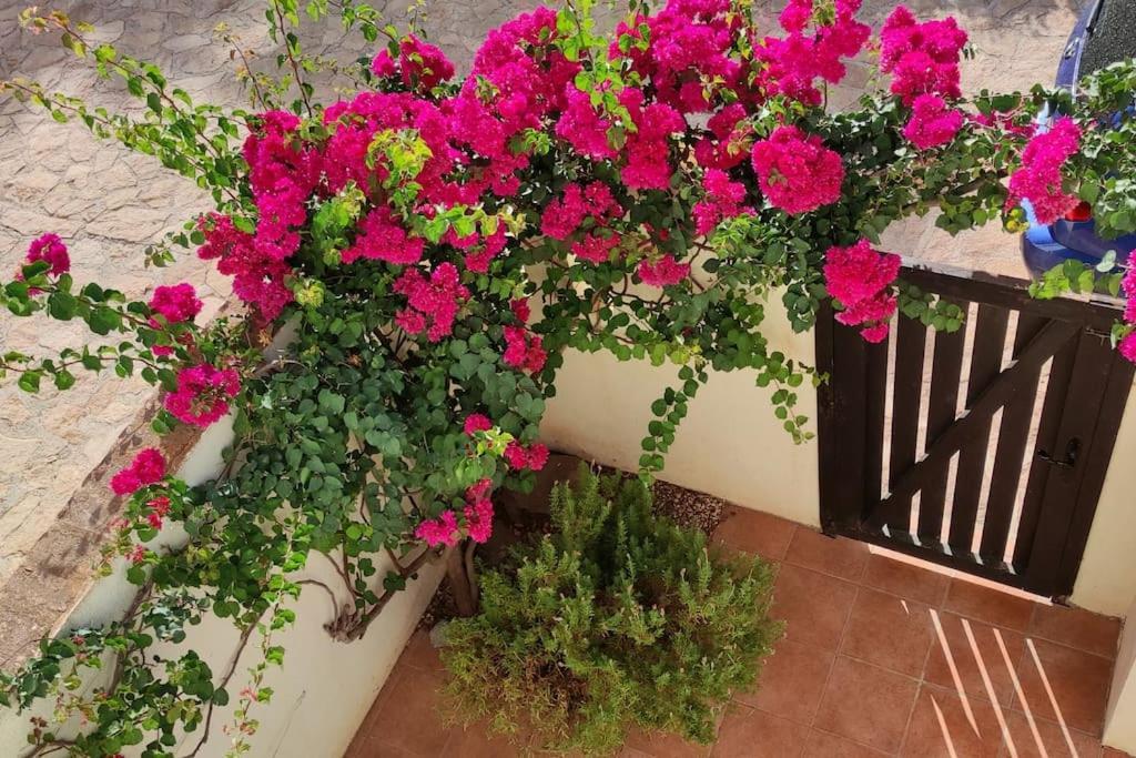 Casa Con Piscina En San Jose Sotillo 외부 사진
