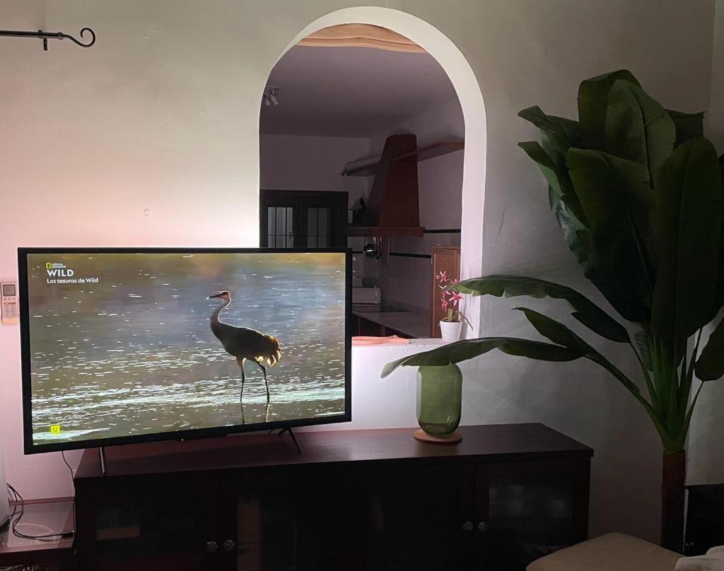 Casa Con Piscina En San Jose Sotillo 외부 사진